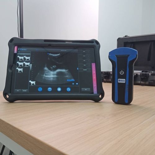 Portable veterinary ultrasound system - BXL-S101 lPX7  - Zhengzhou Boxianglai Electronic Sci-tech Co.,Ltd - multipurpose / for sheep