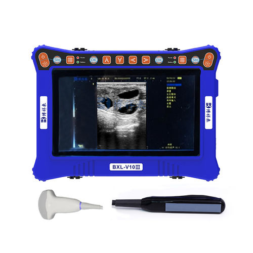 Portable veterinary ultrasound system - BXL-V10 Ⅲ  - Zhengzhou Boxianglai Electronic Sci-tech Co.,Ltd - multipurpose / for swine / for equines
