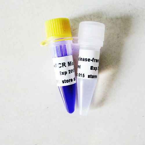 Solution reagent - P2011 - Guangzhou Dongsheng Biotech Co., Ltd. - buffer solution / DNA polymerase / Taq DNA polymerase