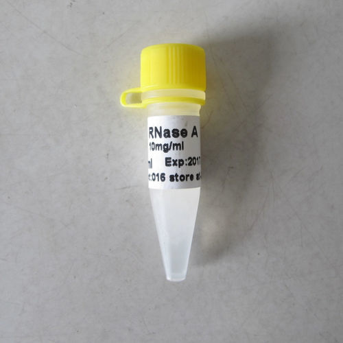 Buffer solution reagent - N9041 - Guangzhou Dongsheng Biotech Co., Ltd. - enzyme / for mutation detection / protein