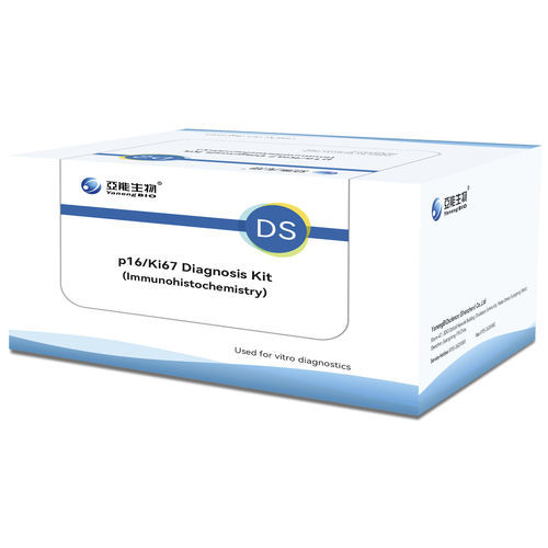 Cervical cancer rapid diagnostic test - p16/Ki67 - Yaneng Bioscience (Shenzhen) Co., Ltd. - oncology / HPV / clinical