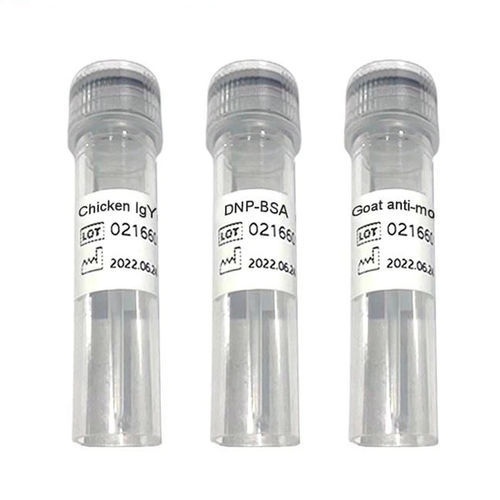 Antibody - C-line - Chengdu Vacure Biotechnology Co., Ltd - antigen / cardiac / IgG