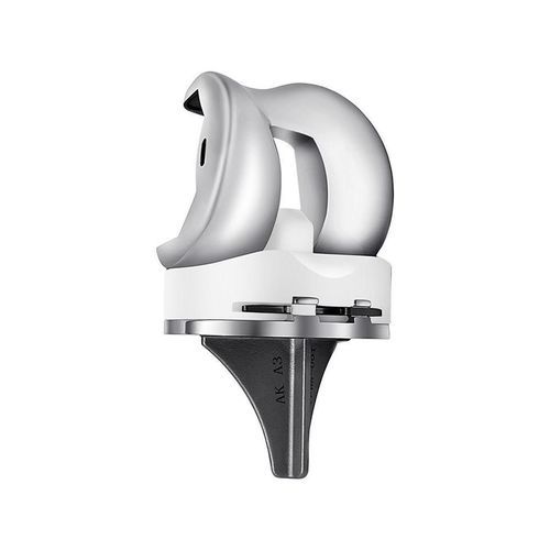 Total knee prosthesis - Chongqing FWS Medical Device