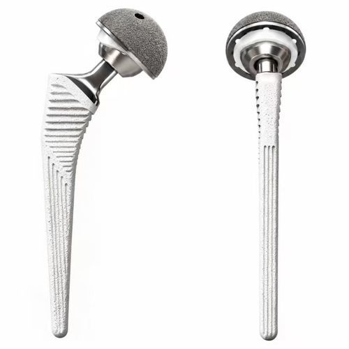 primary hip prosthesis - Chongqing FWS Medical Device