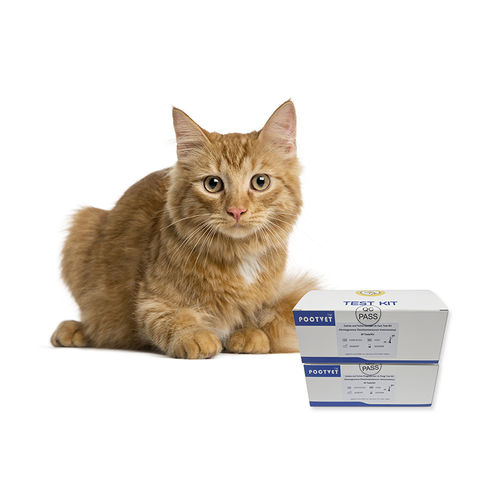 Pancreatic cancer test kit - Poclight - veterinary / for felines / chemiluminescence immunoassay