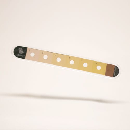 Bilirubin rapid screening test - bili-ruler™ - Little Sparrows Technologies - serum / digital