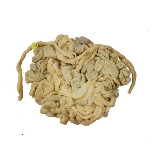 Large intestine model MWDW032 MeiWo Science small intestine