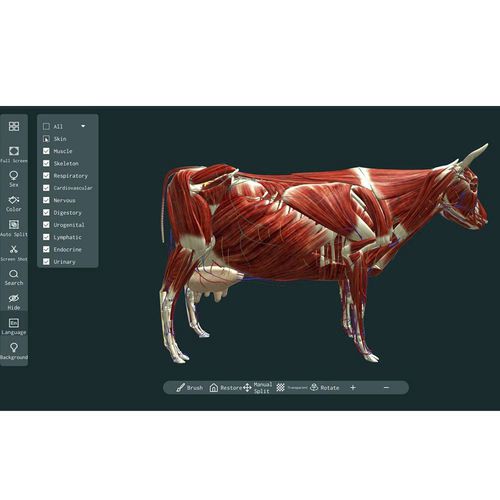 3D viewing software - MeiWo Science - anatomy
