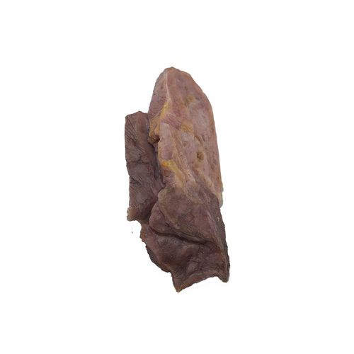 Lung model - PH-002 - MeiWo Science - for health education / for teaching / silicone