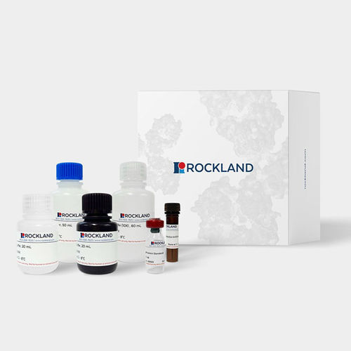 ELISA kit - AccuSignal™ - Rockland Immunochemicals, Inc, - for infectious diseases / for research / Escherichia coli