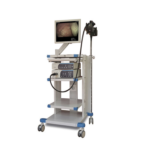Gastroenterological endoscopy column - EGT-100 - Gongjiang Endoscopy Instruments - white light imaging