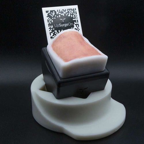 Training simulator - UpSurgeOn - dissection / for general care / surgery