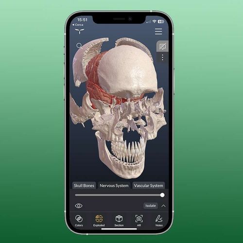Modeling mobile application - HeadAtlas - UpSurgeOn - medical / anatomy / head