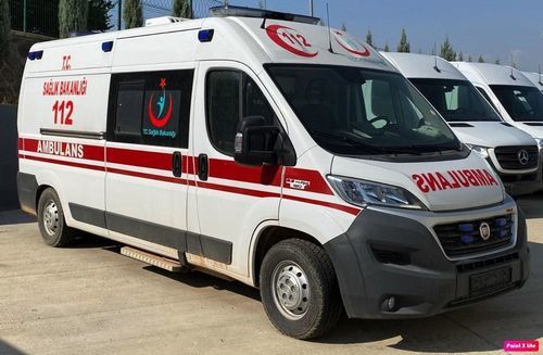 Van ambulance - Fiat Ducato - eos ambulance - 4-stretcher / with oxygen therapy / diesel