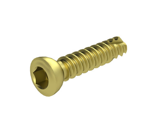 General purpose compression bone screw - 2T1-1194512 - Ases Orthopedics - non-locking / cortical