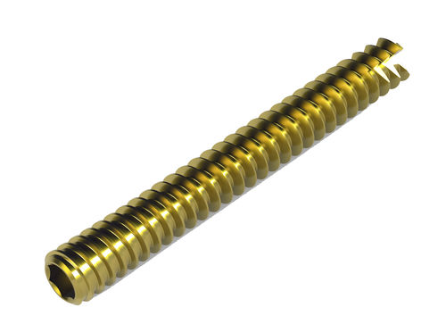General purpose compression bone screw - 2T1-1312508 - Ases Orthopedics - cannulated / headless