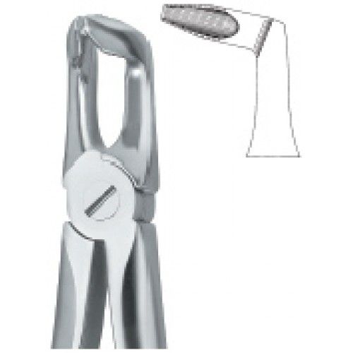 Molar dental extraction forceps - PSI-51-079-02 - Performance Surgical Instruments