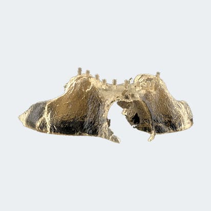 Bone anatomical model - NEW ANCORVIS S.r.l - surgical / training / evaluation