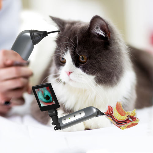 video veterinary otoscope - JZ Biotech