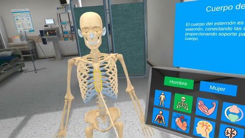 Anatomy virtual reality platform - MetaMedics - immersive / 3D / VR