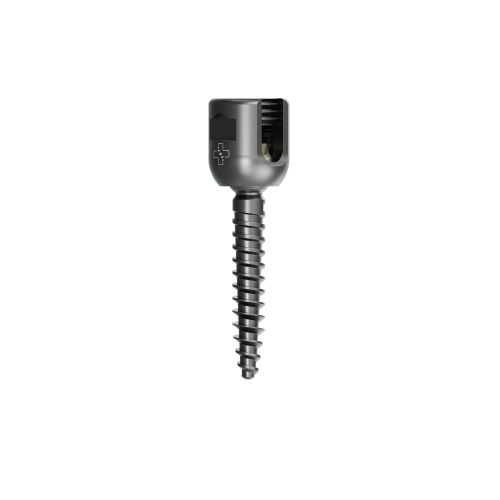 cervical vertebra pedicle screw - S33 Spine