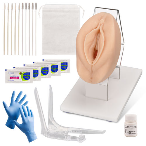 Training simulator - MedEduQuest. - pelvic examination / gynecological / adult