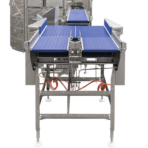 Conveyor for the food industry - Moda - Amcor Embalagens Flexíveis - horizontal / high-speed