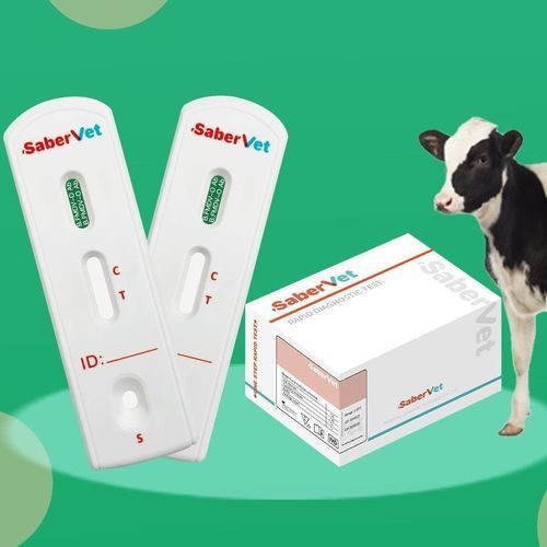 Rapid infectious disease test - SaberVet FMDV-O Ab - Hangzhou Antigenne Technology Co. Ltd - veterinary / for cattle / for calves