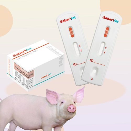 Rapid infectious disease test - SaberVet PCV Ab - Hangzhou Antigenne Technology Co. Ltd - veterinary / for swine / porcine circovirus