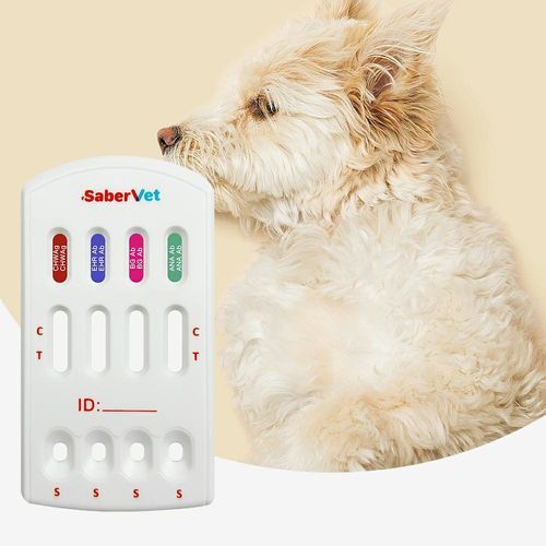 Rapid infectious disease test - SaberVet CHW Ag/EHR/BG/ANA Ab - Hangzhou Antigenne Technology Co. Ltd - veterinary / for canines / Ehrlichia