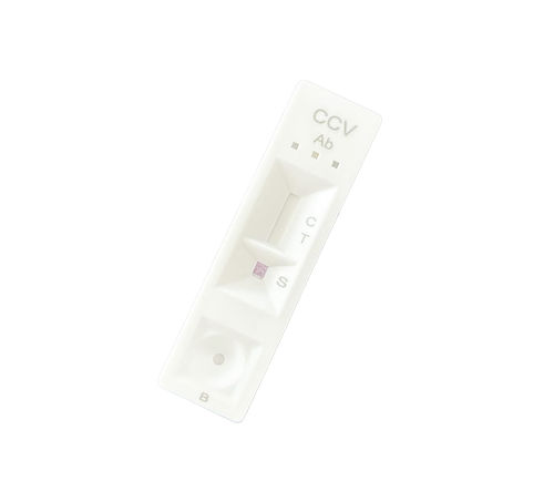Infectious disease test kit - CCV0144 - Neo-nostics - for animals / for antibodies / serum