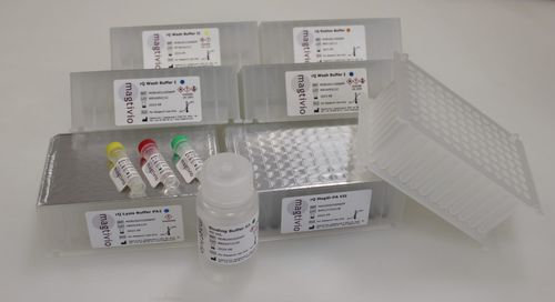 DNA extraction test kit - rQ - magtivio B.V. - serum / plasma / nasopharyngeal