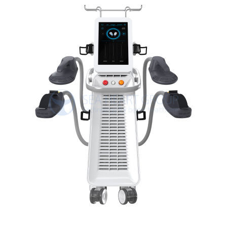 Muscle electrical stimulation body contouring unit - SH SM-20 - Beijing Sea Heart International Science And Technology - RF body contouring unit / transportable