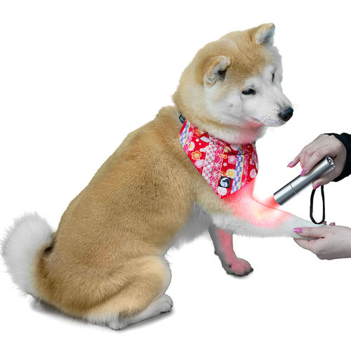 Veterinary photostimulation laser - LED-Pen - Hubei Theypet Technology ...