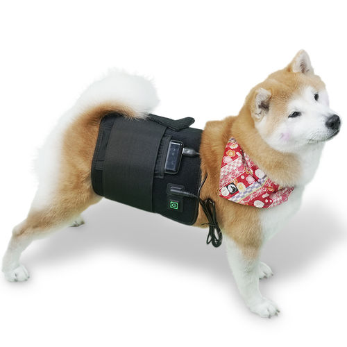 Pet Veterinary photostimulation laser - LED-Wrap - Hubei Theypet Technology - for equines / wearable