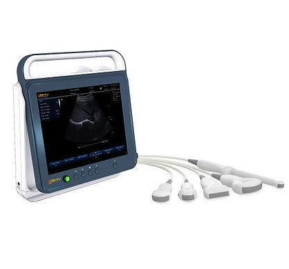 Portable veterinary ultrasound system - AGS Medical - multipurpose / B/W