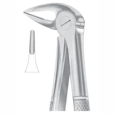 Tooth root extraction forceps - AE 1032 - Arsa Enterprises - dental fragment