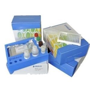 Research test kit - RUO - FIRALIS GROUP - biomarqueurs / blood / ELISA