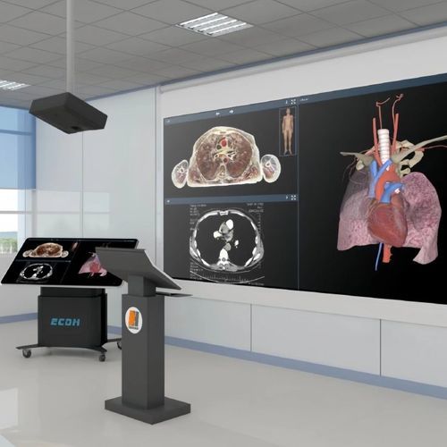 Semi-immersive virtual reality platform - ECDH-Int CAT - Shandong Digihuman Technology CO., Inc. - 3D / medical / with virtual patient