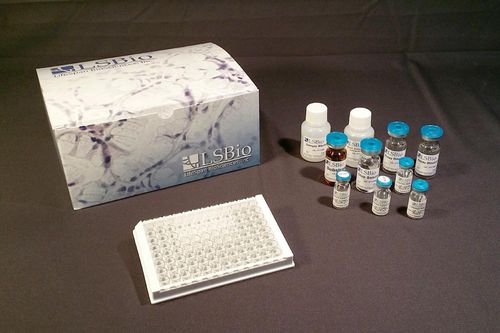 Research test kit - LS-F15894 - LifeSpan BioSciences - ELISA / lyophilized / custom-made