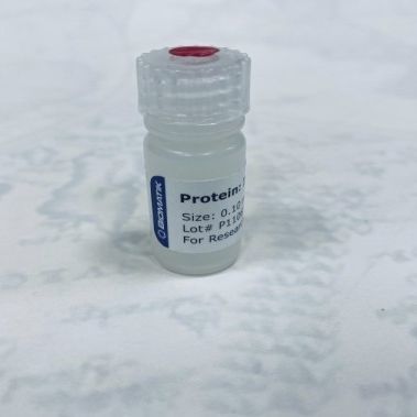 Solution reagent - RPU40010 - Biomatik - for research / freeze-dried / protein