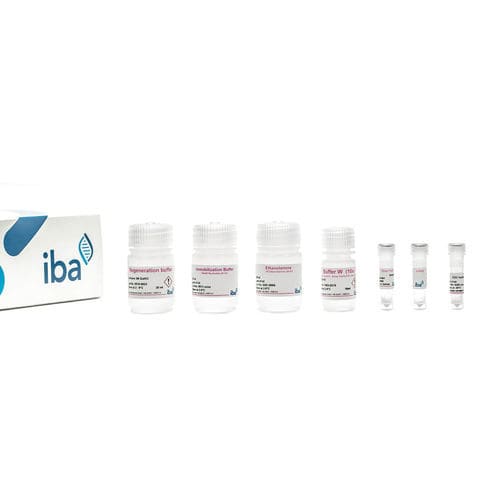 Solution reagent kit - Strep-Tactin®XT  BLI  - IBA Lifesciences GmbH - buffer solution / for protein analysis