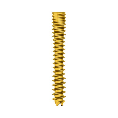General purpose compression bone screw - 308021 series - Boneunion Medical - cannulated / headless / titanium