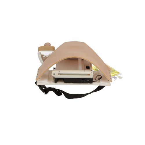 Urinary catheterization simulator - Avcath - AVKIN - catheterization / for general care / anatomy