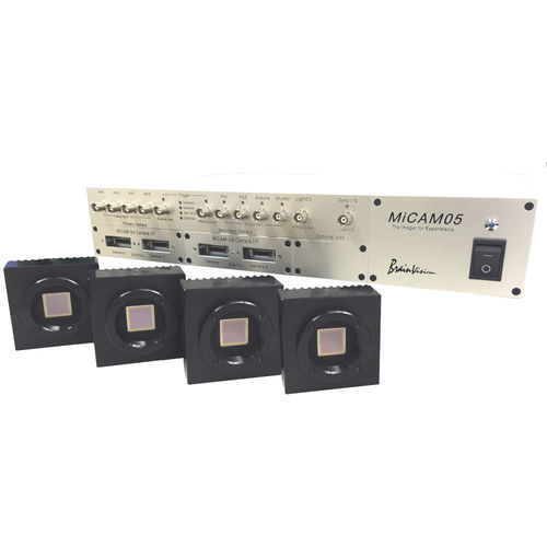 Fluorescence preclinical imaging system - MiCAM05-N256  - Brainvision - SciMedia
