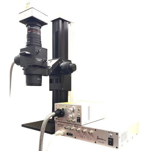 Optical microscope module - THT Mesoscope - Brainvision - SciMedia ...