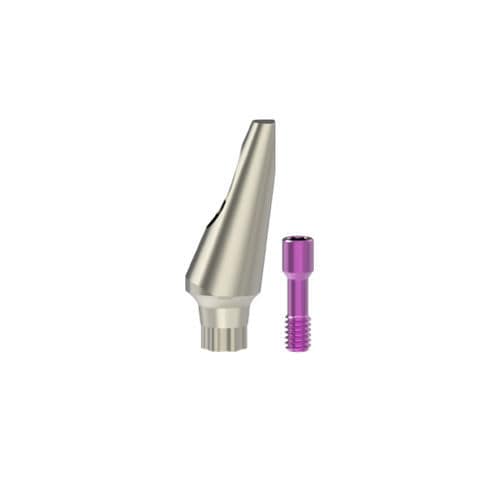 Titanium implant abutment - 00124 series - Kinetical SRL - internal / straight / angled
