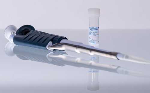 Nucleic acid reagent - BIORON GmbH - proteinase K / for hybridization / for DNA analysis
