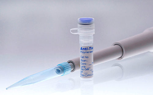 Antibody - AntiTaq - BIORON GmbH - monoclonal antibody / Taq DNA polymerase / IgG