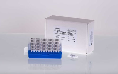 Chlamydia test kit - VBD0457-R - BIORON GmbH - for sexually transmitted diseases / gonorrhea / Chlamydia trachomatis